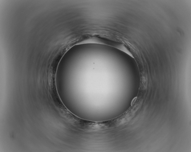 X0000113000379200909031258