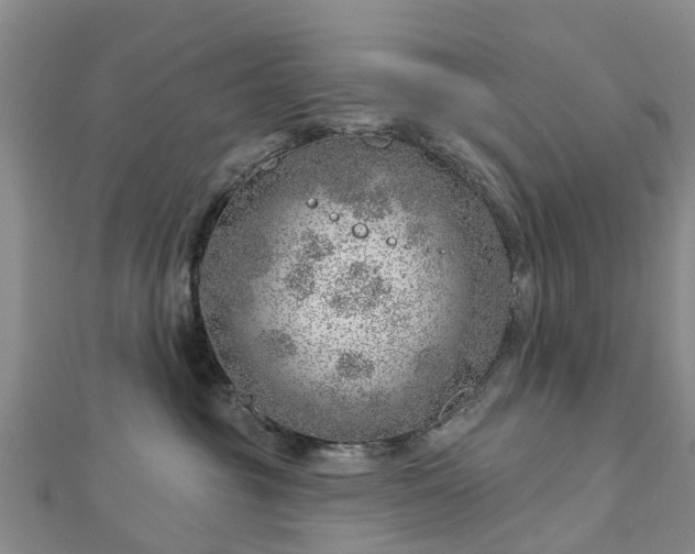 X0000113000381200909031258