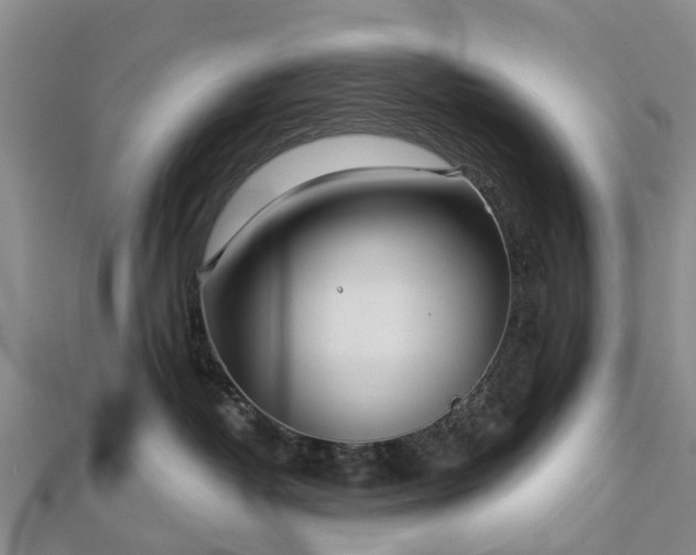 X0000113000382200909031258