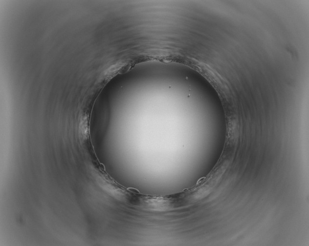 X0000113000383200909031258