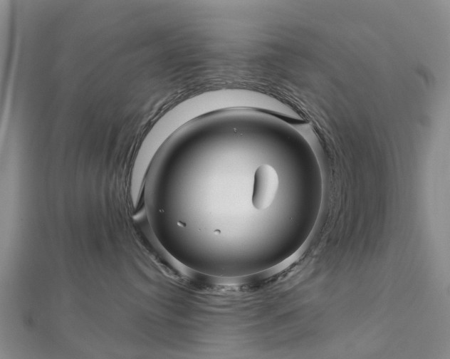 X0000113000384200909031258