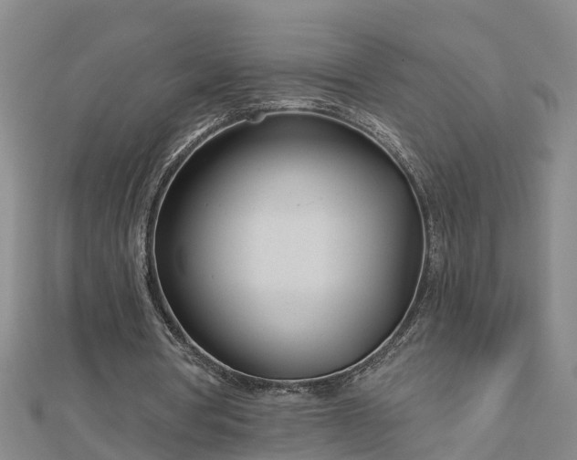 X0000113000386200909031258