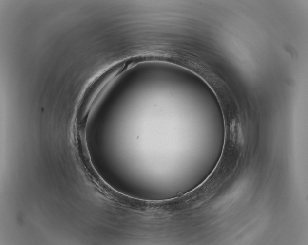 X0000113000388200909031257