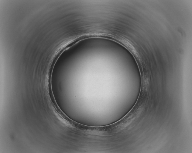 X0000113000389200909031257