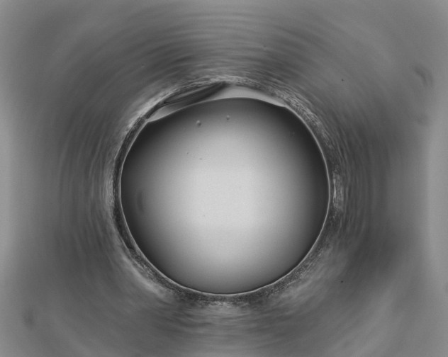 X0000113000390200909031257