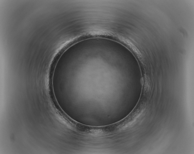 X0000113000391200909031257