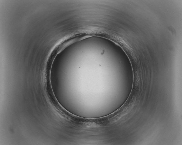 X0000113000392200909031257