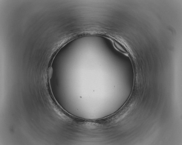 X0000113000393200909031257