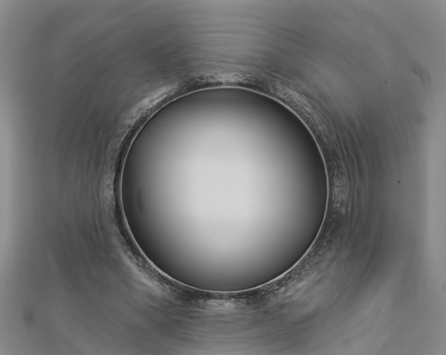 X0000113000394200909031257