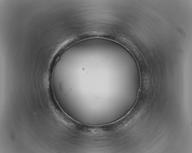 X0000113000395200909031257