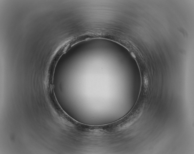 X0000113000396200909031257