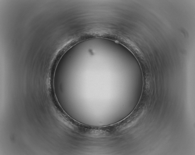 X0000113000399200909031257