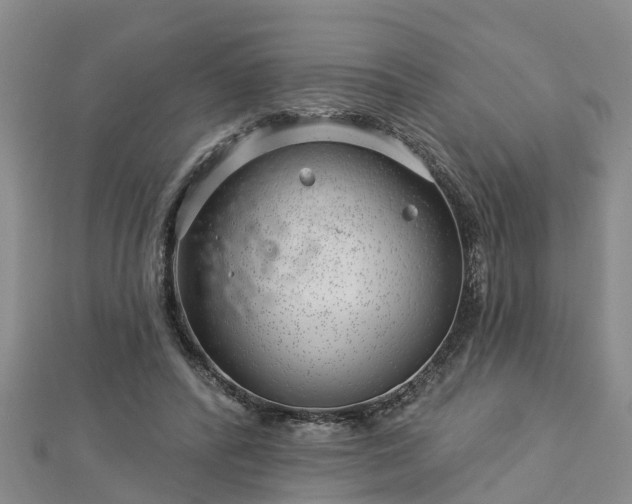 X0000113000400200909031257