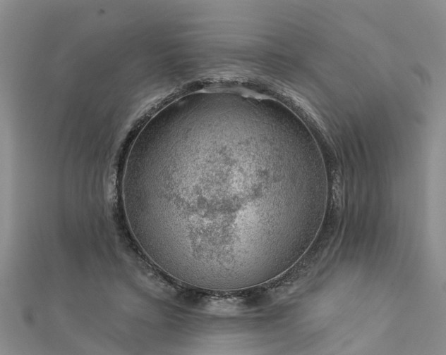 X0000113000403200909031257