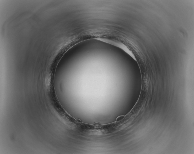 X0000113000404200909031257