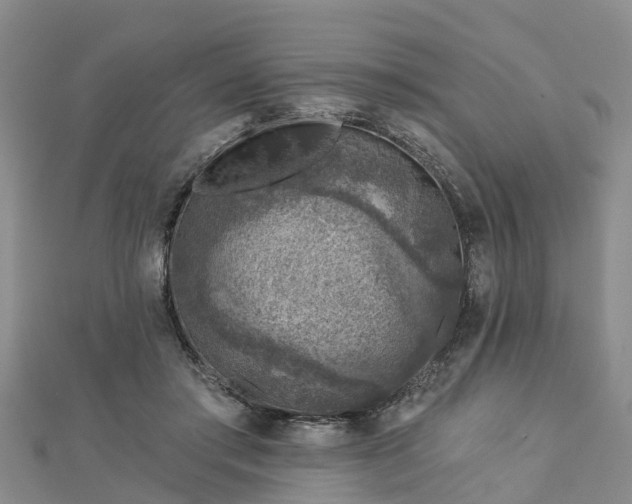 X0000113000405200909031257