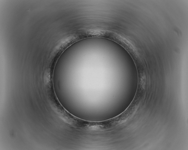 X0000113000407200909031257