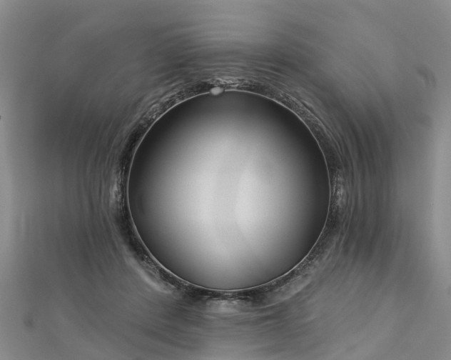 X0000113000408200909031257