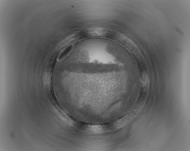 X0000113000409200909031257