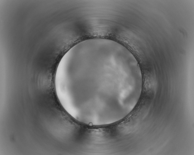 X0000113000411200909031257