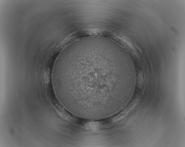 X0000113000413200909031257