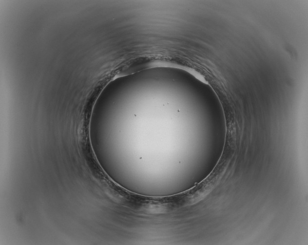 X0000113000416200909031257