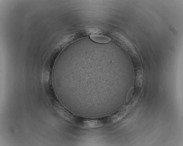 X0000113000417200909031257