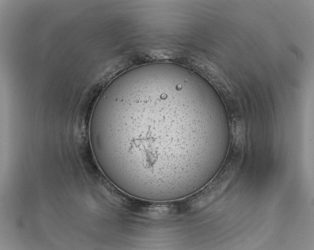 X0000113000418200909031257