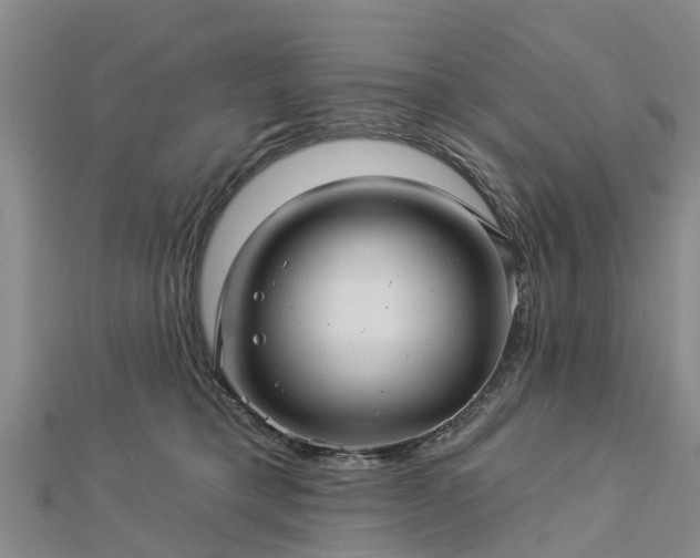 X0000113000421200909031257