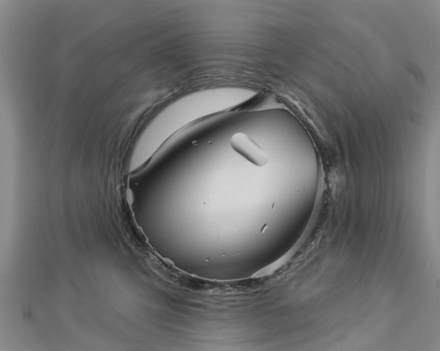 X0000113000423200909031257