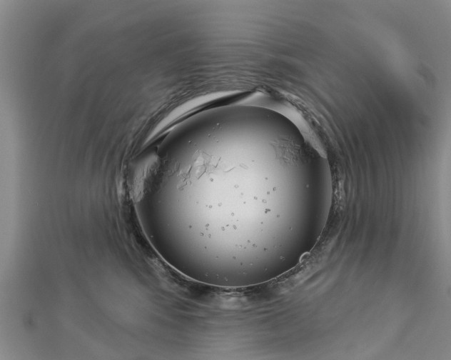 X0000113000424200909031257