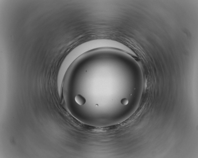 X0000113000425200909031257