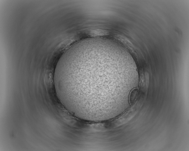 X0000113000426200909031257