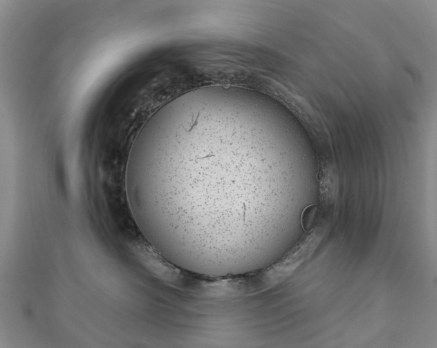 X0000113000430200909031257