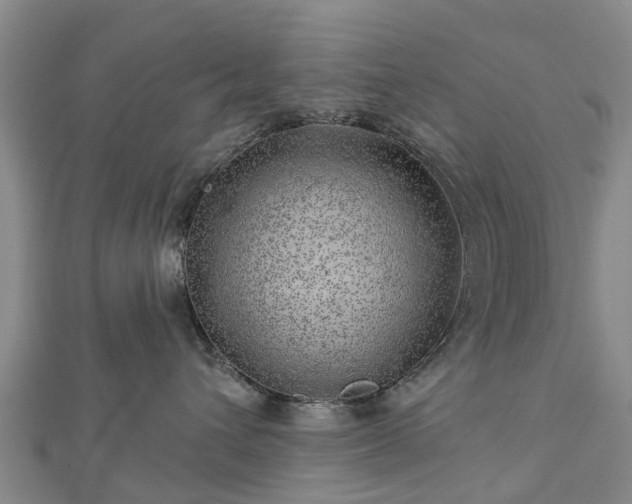 X0000113000432200909031257