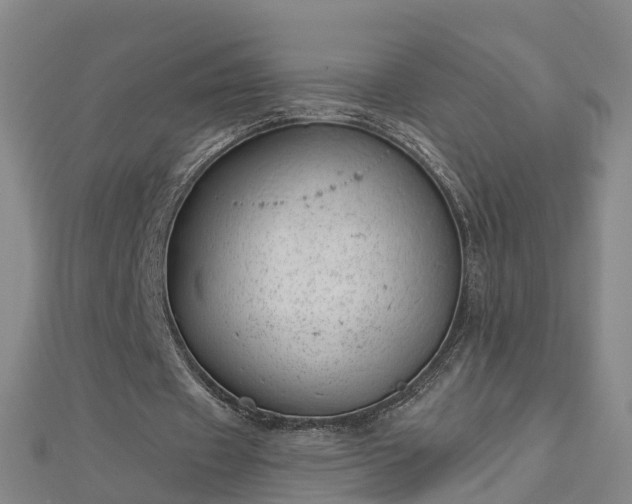 X0000113000433200909031256