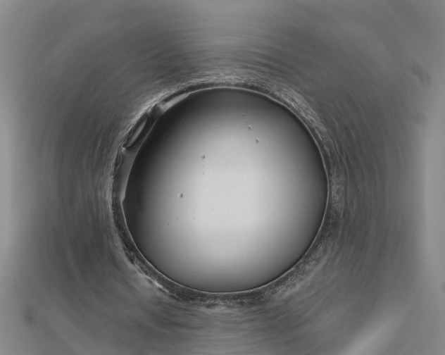 X0000113000434200909031256