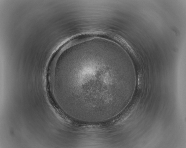 X0000113000436200909031256