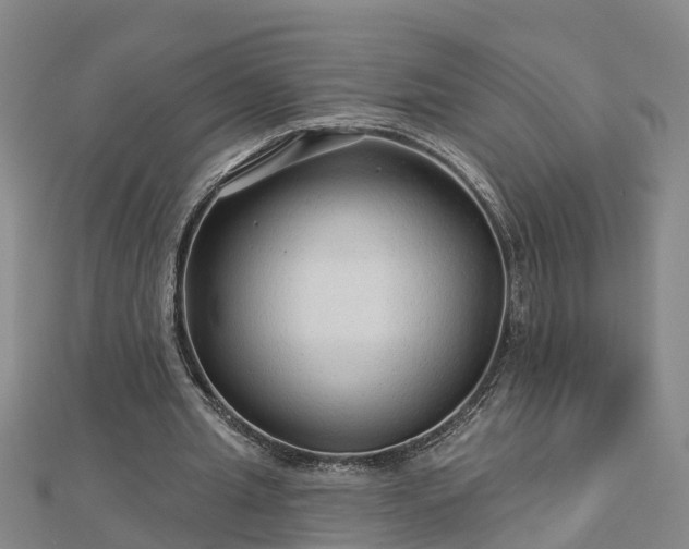 X0000113000437200909031256