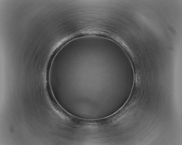 X0000113000438200909031256