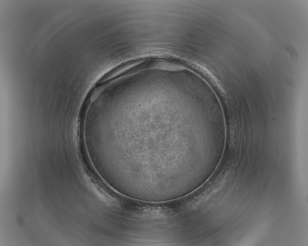 X0000113000439200909031256