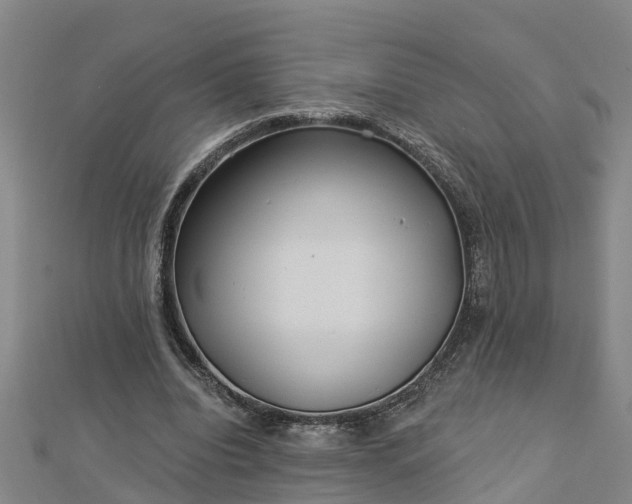 X0000113000440200909031256