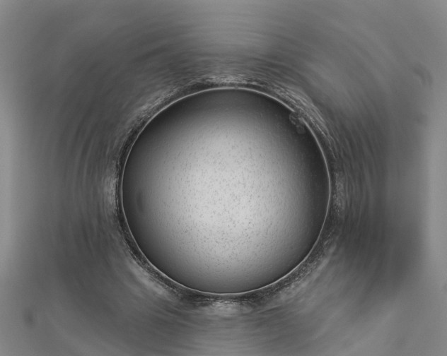 X0000113000441200909031256