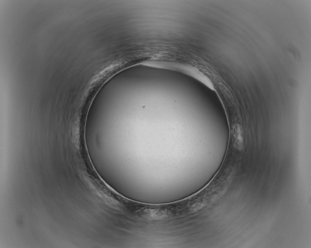 X0000113000442200909031256