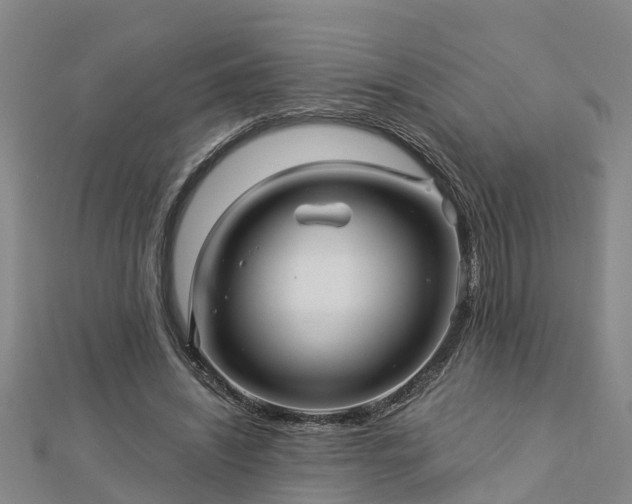 X0000113000444200909031256