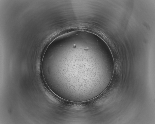 X0000113000445200909031256