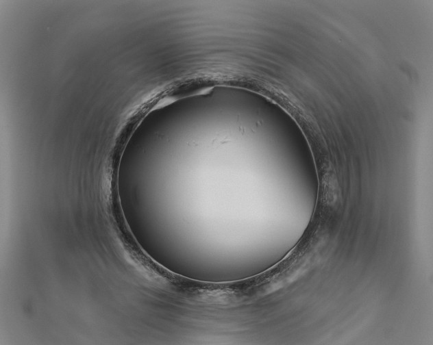 X0000113000446200909031256