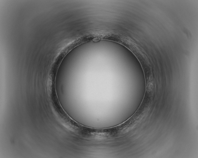 X0000113000448200909031256