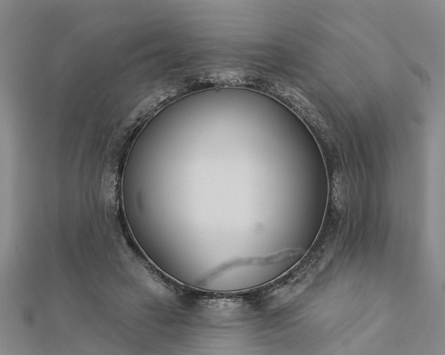 X0000113000449200909031257