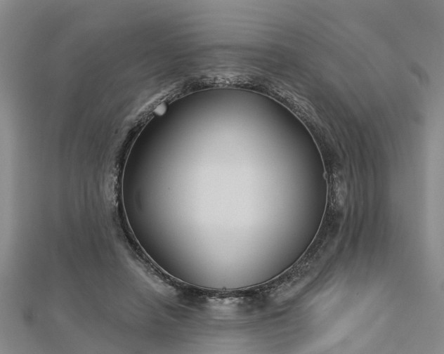 X0000113000450200909031257